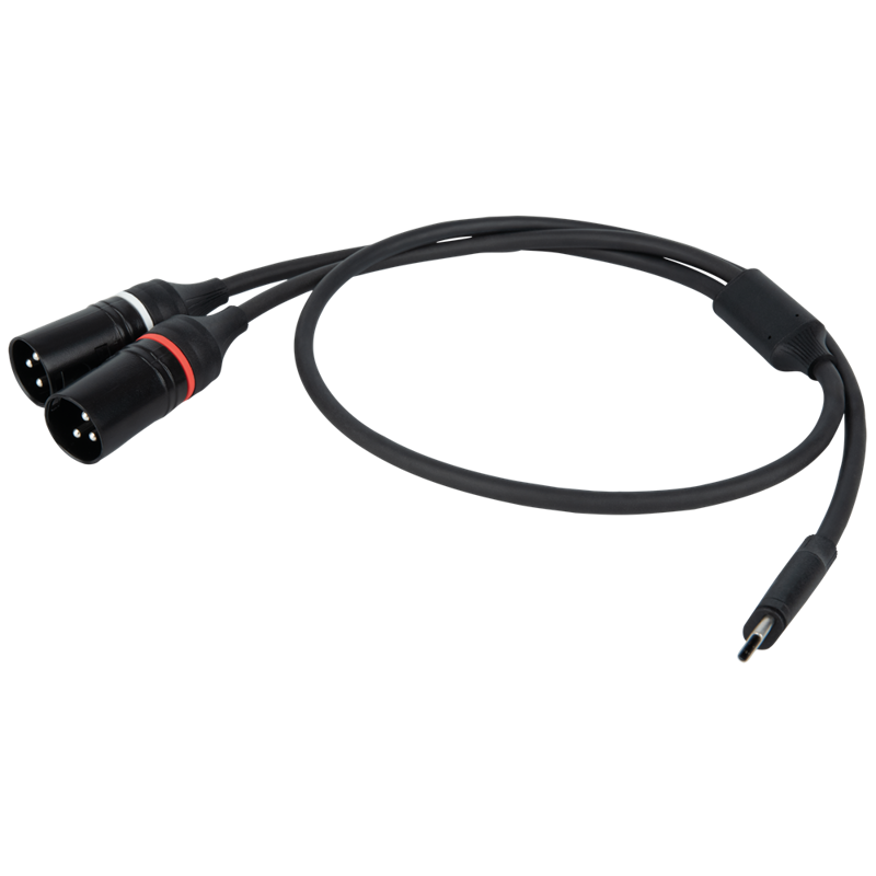 DAP FL112 - USB-C to 2 XLR/M 3P 1.5 m